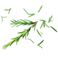 (max-width: 767px)
