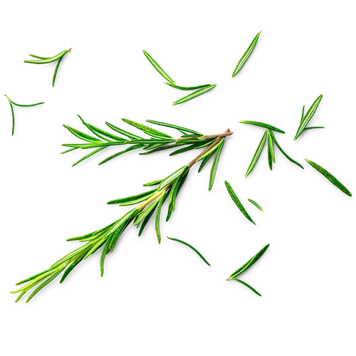 (min-width: 768px)