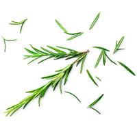Picture - (max-width: 767px)