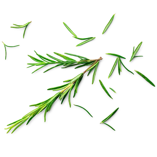 Picture - (min-width: 768px)